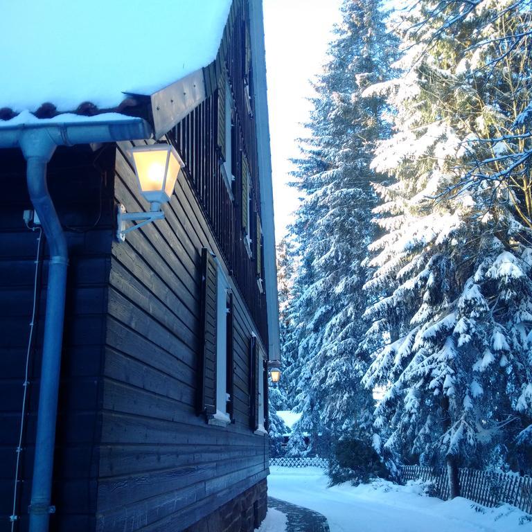 The Cabin - Harz National Park Hotel Sankt Andreasberg Zewnętrze zdjęcie
